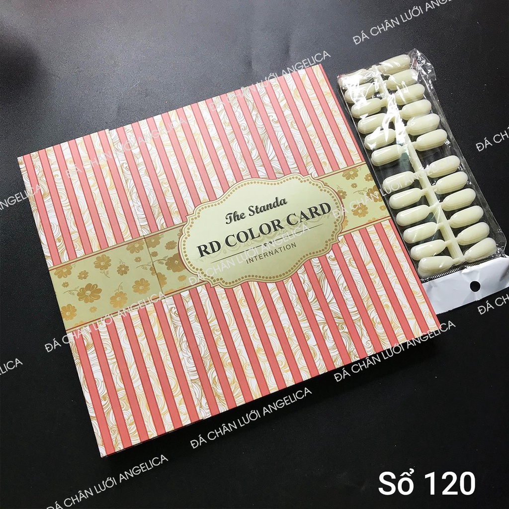 Sổ Màu Đựng 120 Móng Mẫu Nail Chuyên Dụng ANGELICA S120