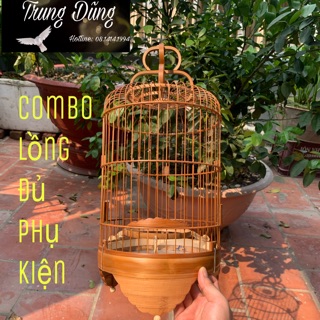 Lồng khuyên trúc xử lý . “22 x 38”