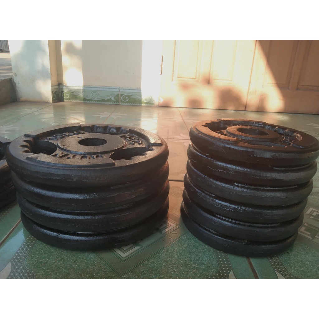 2 Viên Tạ Bánh 10kg Lỗ To Phi 50 Gang Đúc