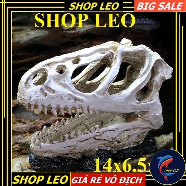ĐẦU XƯƠNG KHỦNG LONG BẠO CHÚA SIZE TO - ĐẦU XƯƠNG KHỦNG LONG HANG THỦY SINH