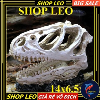ĐẦU XƯƠNG KHỦNG LONG BẠO CHÚA SIZE TO - ĐẦU XƯƠNG KHỦNG LONG HANG THỦY SINH