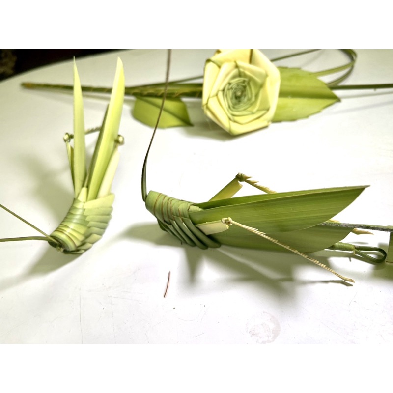 Cào Cào Lá Dừa /Đồ Chơi An Toàn /Quà Tặng/HandMade