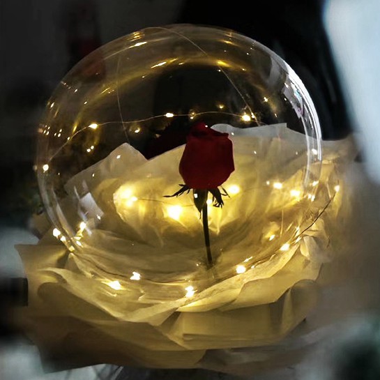 20 cái đèn led đom đóm đèn led trang trí đèn fairylight fairy light màu vàng dài 2m