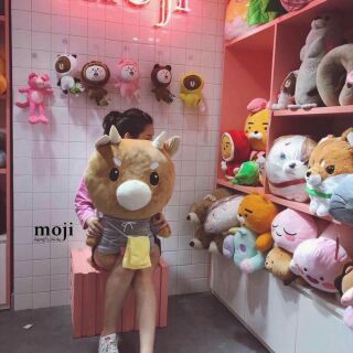 GẤU BÒ CHĂM CHỈ