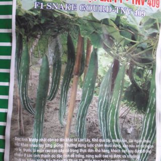 Hạt giống Mướp nhật lai (lặc lày)
