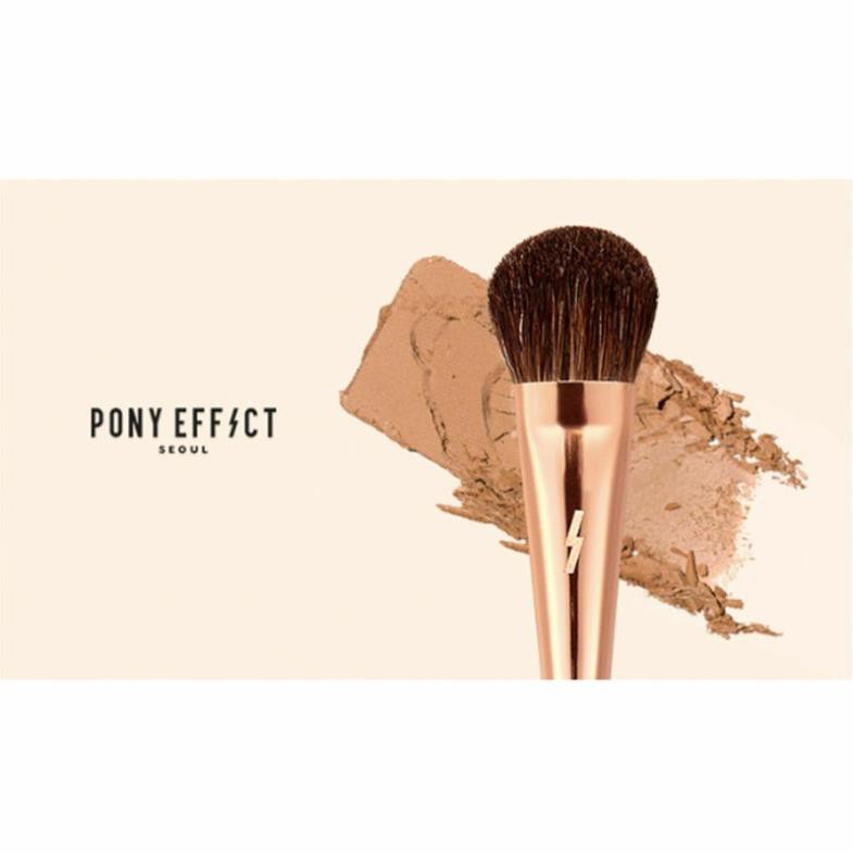 Cọ Highlight Pony Effect Magnetic #102