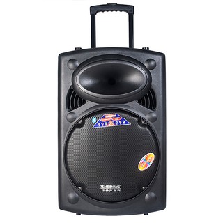 Loa Temeisheng DP-2305S