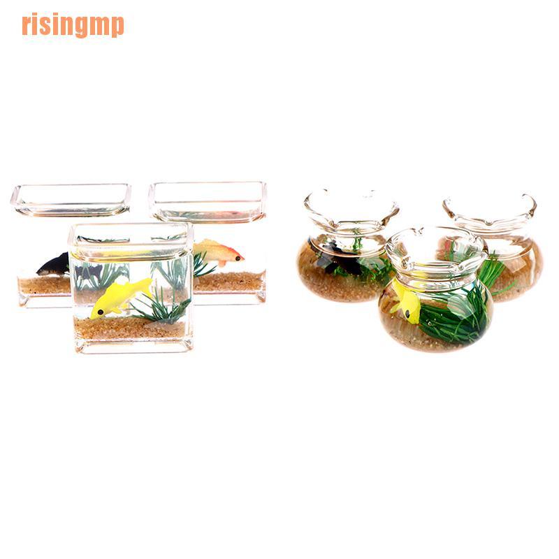 Mô Hình Trang Trí Bể Cá Thu Nhỏ &amp; X House