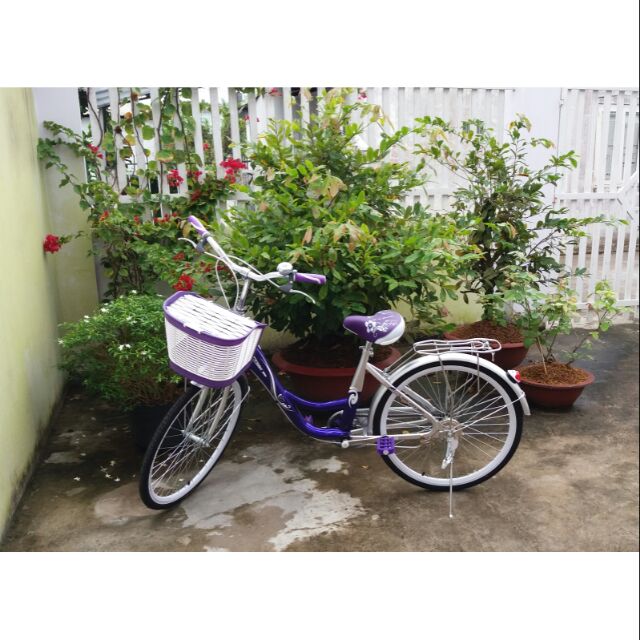 Xe đạp nữ màu tím bánh 24icnh, có xanh, tím, hồng, vàng kem.