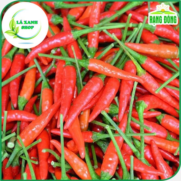 Hạt Giống Ớt Hiểm Sai Trái, Siêu Cay, Trồng Quanh Năm (gói 0,2 gram) - Hạt giống Rạng Đông