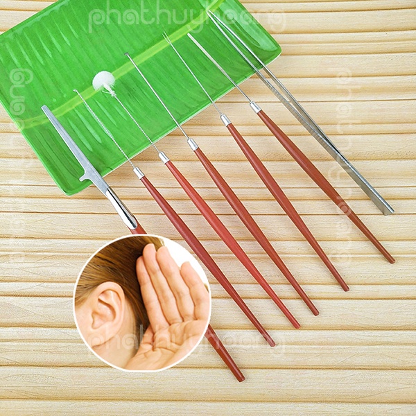 Bộ ráy tai 7 cây - Đại Sỉ