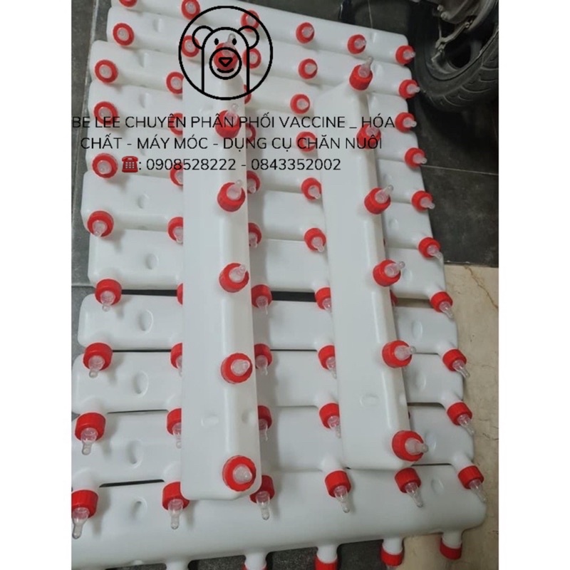 Bình bú sữa heo con, vú giả 6-9 núm cho lợn con dung tích 7- 10 lít