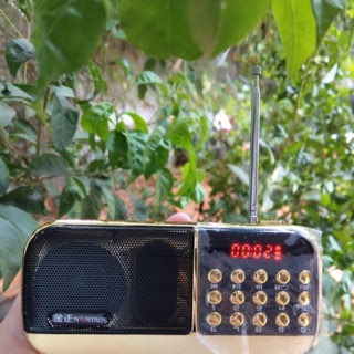 Loa Usb nghe nhạc