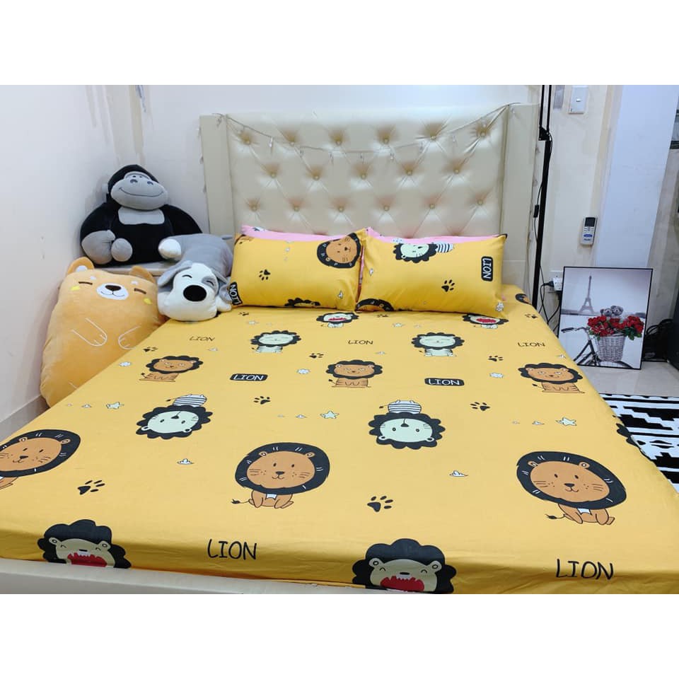 Bộ ga chun và 2 áo gối nằm Emmidecor - mẫu sư tử vàng