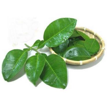 30 lá bưởi tươi sạch có thể chọn lá non hay vừa ạ