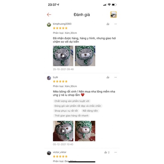 [RẺ VÔ ĐỊCH] MÈO BÔNG AMUSE RẺ NHẤT VN GẤU BÔNG MÈO AMUSE MÈO AMUSE CAO CẤP