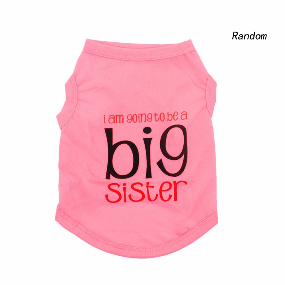 Áo Chống Nắng Cho Thú Cưng Ran