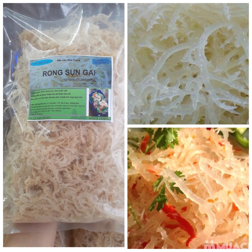 (Deal Sốc 100gr) Rong Sụn Gai Tươi làm gỏi - Rong Sụn Nấu Chè - Rong Sụn nấu Thạch Rau Câu