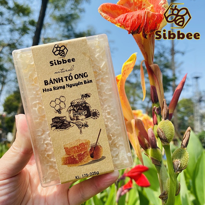 Bánh Tổ Ong Hoa Rừng Nguyên Bản 175 - 225g - 100% Mật Ong Thật - SB013