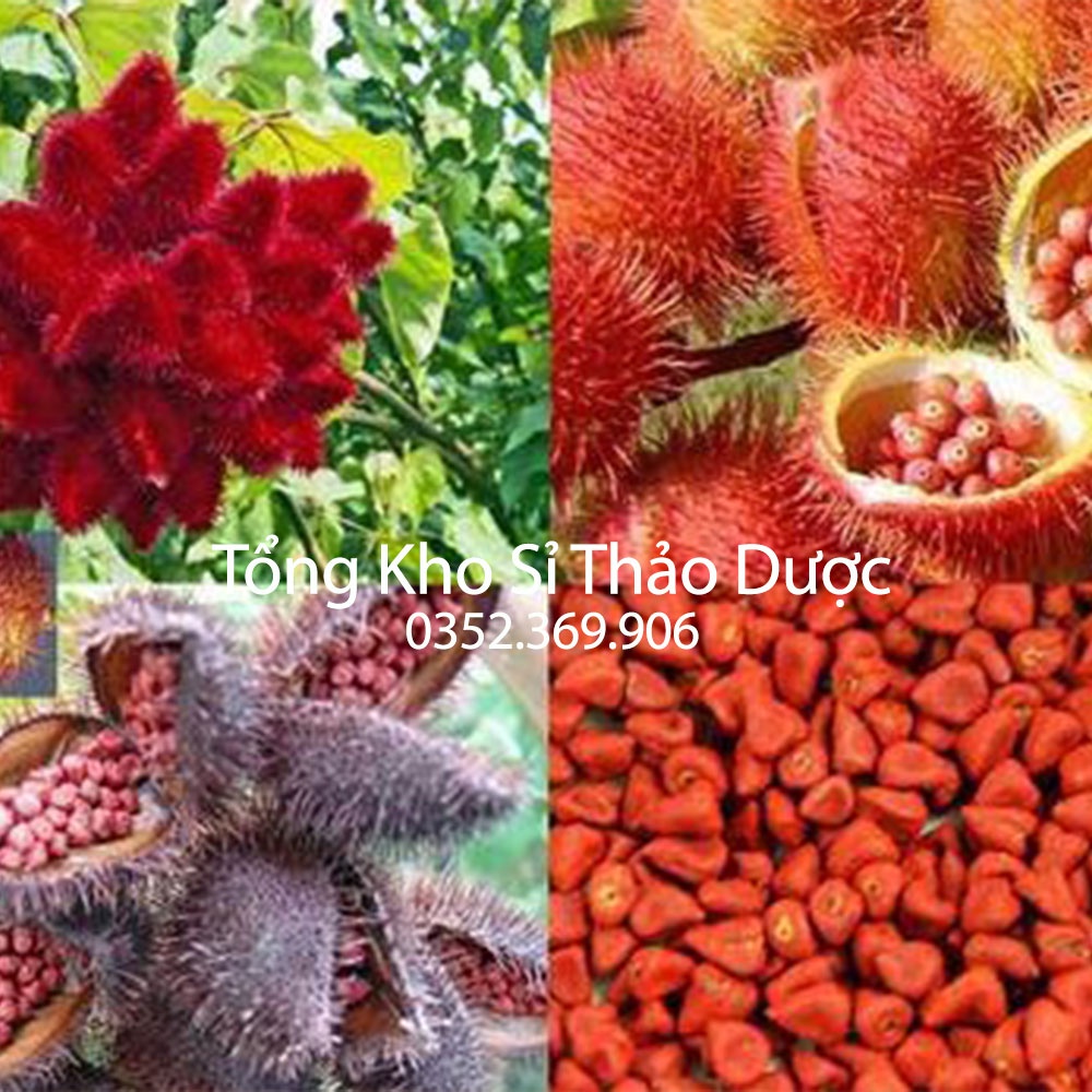 Hạt điều màu 100g (Hạt cari, hạt tạo màu tự nhiên)