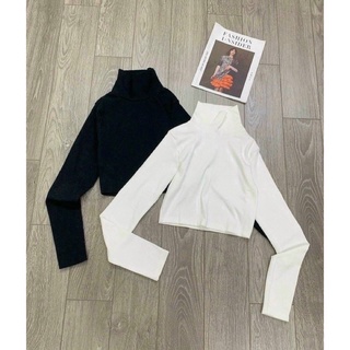 Áo croptop cổ cao thun tăm