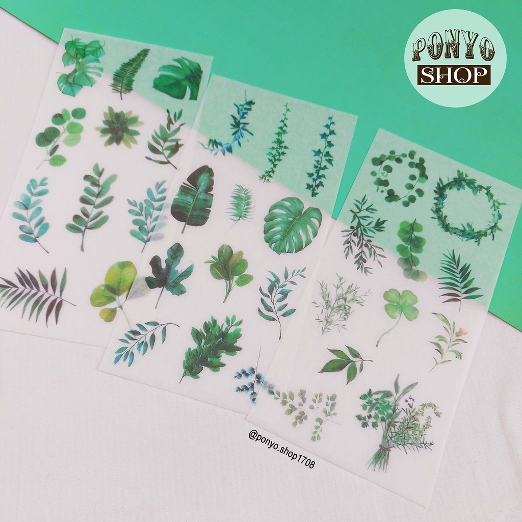 Bộ 3 sticker phong cách Watercolor - Chủ đề Green leaves