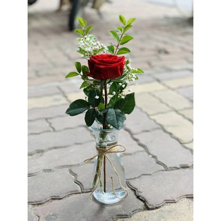 Combo 10 Lọ hoa mini thủy tinh/ Bình cắm hoa thủy tinh tặng kèm dây dừa trang trí