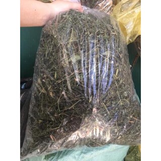 Combo 2 kg xuyên tâm liên