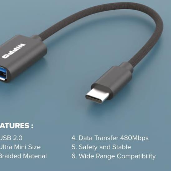 Dây Cáp Chuyển Đổi Otg - 01 Type C Sang Usb 16cm Roh-770 | BigBuy360 - bigbuy360.vn