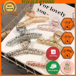 Kẹp Tóc Càng Cua Hàn Quốc Trong Suốt Jelly Nhiều Màu Sắc Hot Trend Whale Store - WSTKTC6512