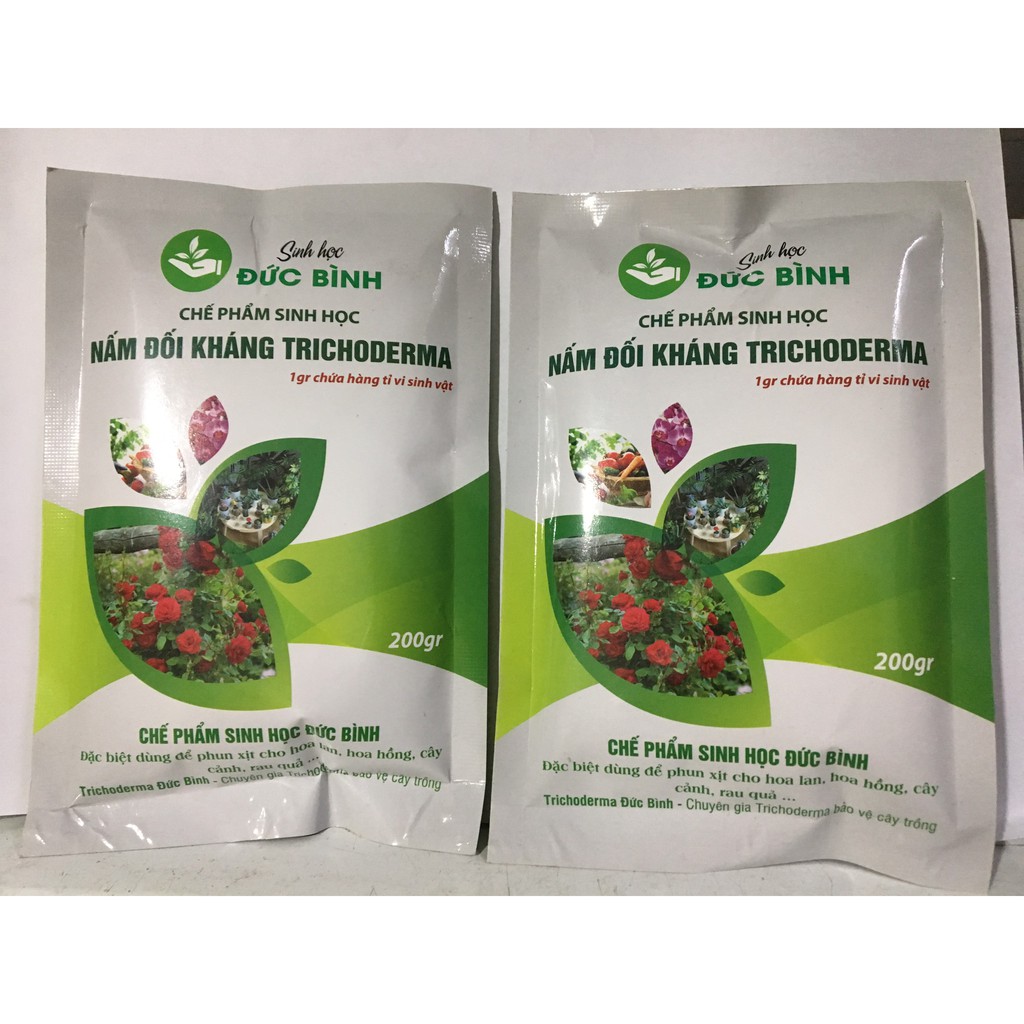 Combo đậu tương trứng chuối humic và trichoderma siêu phẩm tưới cho hoa hồng
