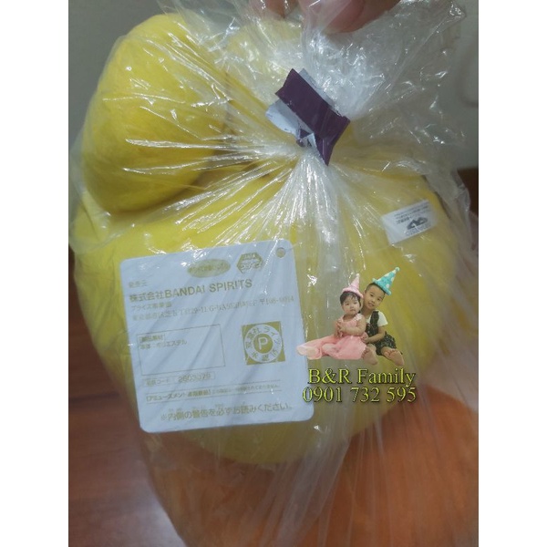 Crayon Shin-chan- sunflower-Himawari