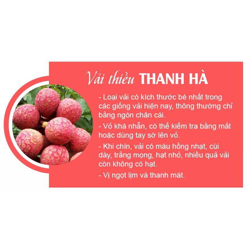  hàng trong kho Bán sỉ giá  đặc  biệtVải Thiều Ngâm Đóng Lon Thanh Hà - Lon 580gr[good time]