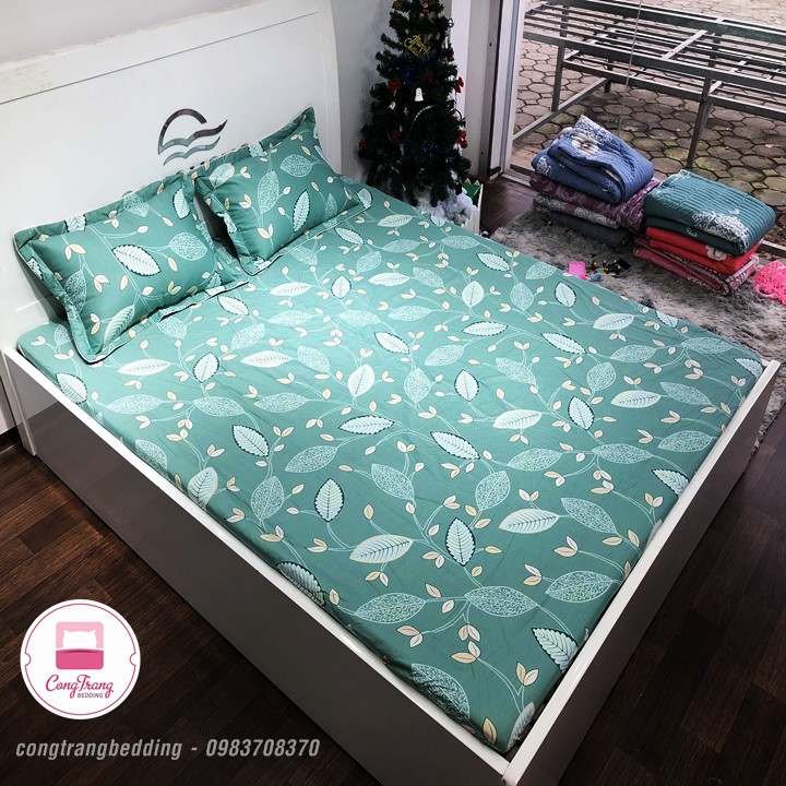 Bộ Ga chun vỏ gối chất cotton 100% siêu đẹp (Đủ cỡ từ 1m2 đến 2m2)
