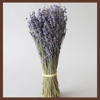 LAVENDER🌸20 Cành Hoa Oải Hương Khô