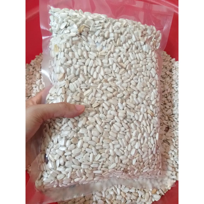 [Mã PET50K giảm Giảm 10% - Tối đa 50K đơn từ 250K] 0,5kg hướng dương trắng nhỏ Ai Cập / lớn Kenya