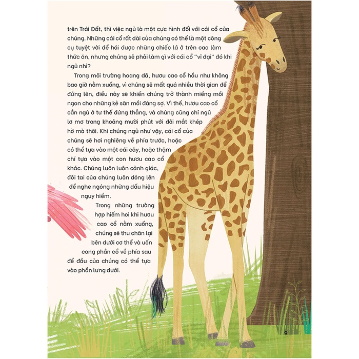 Sách thiếu nhi - Bộ sách những bí ẩn của màn đêm Đinh Tị book