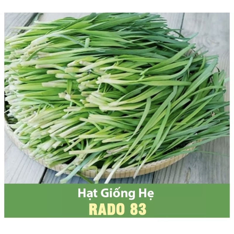 Hạt giống hẹ lá  dễ trồng tốt cho sức khoẻ trồng quanh năm đóng gói 1g