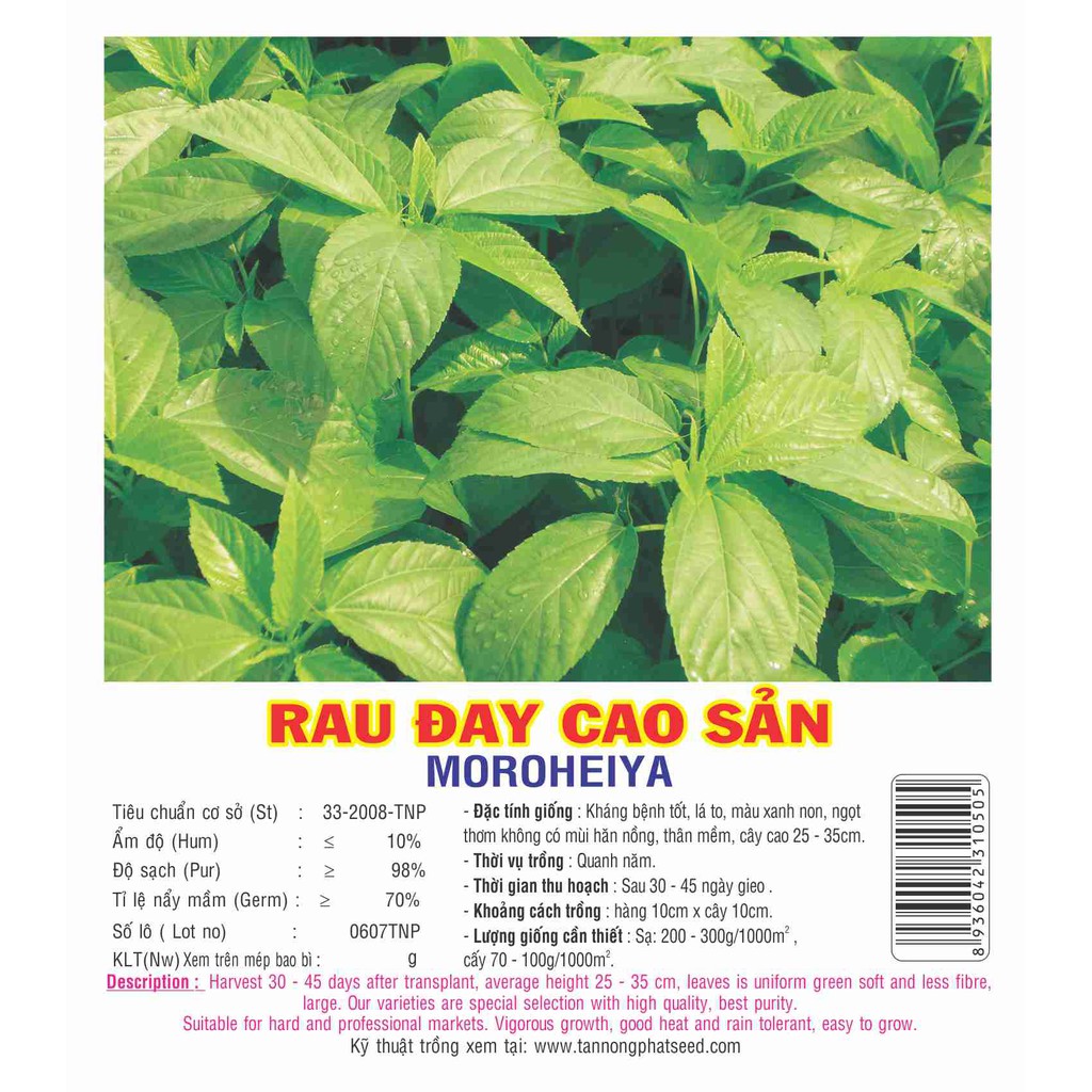 HẠT GIỐNG RAU ĐAY (5GR)