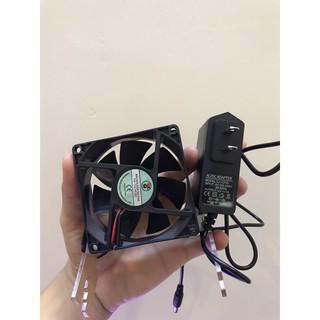 Adapter 12V-1A Jack DC 5.5x2.1