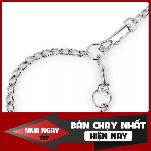 DÂY DẮT CHÓ MÈO - Dây xích inox không gỉ dắt chó mèo 0