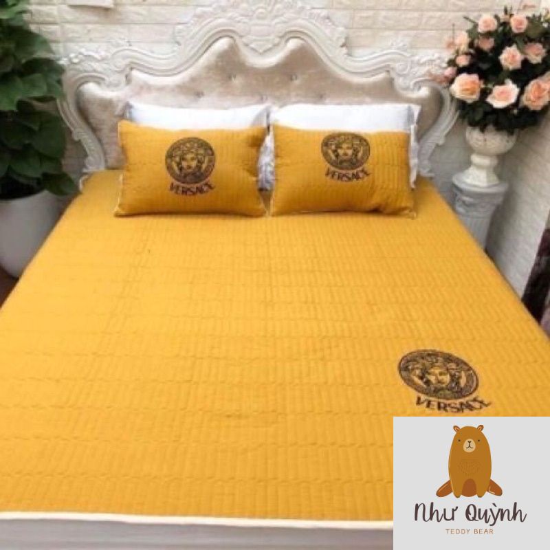 Chiếu đũi điều hoà ⚡️ FREE SHIP ⚡️ Chất liệu Cotton đũi thoáng mát kích thước m6 m8 và 2m