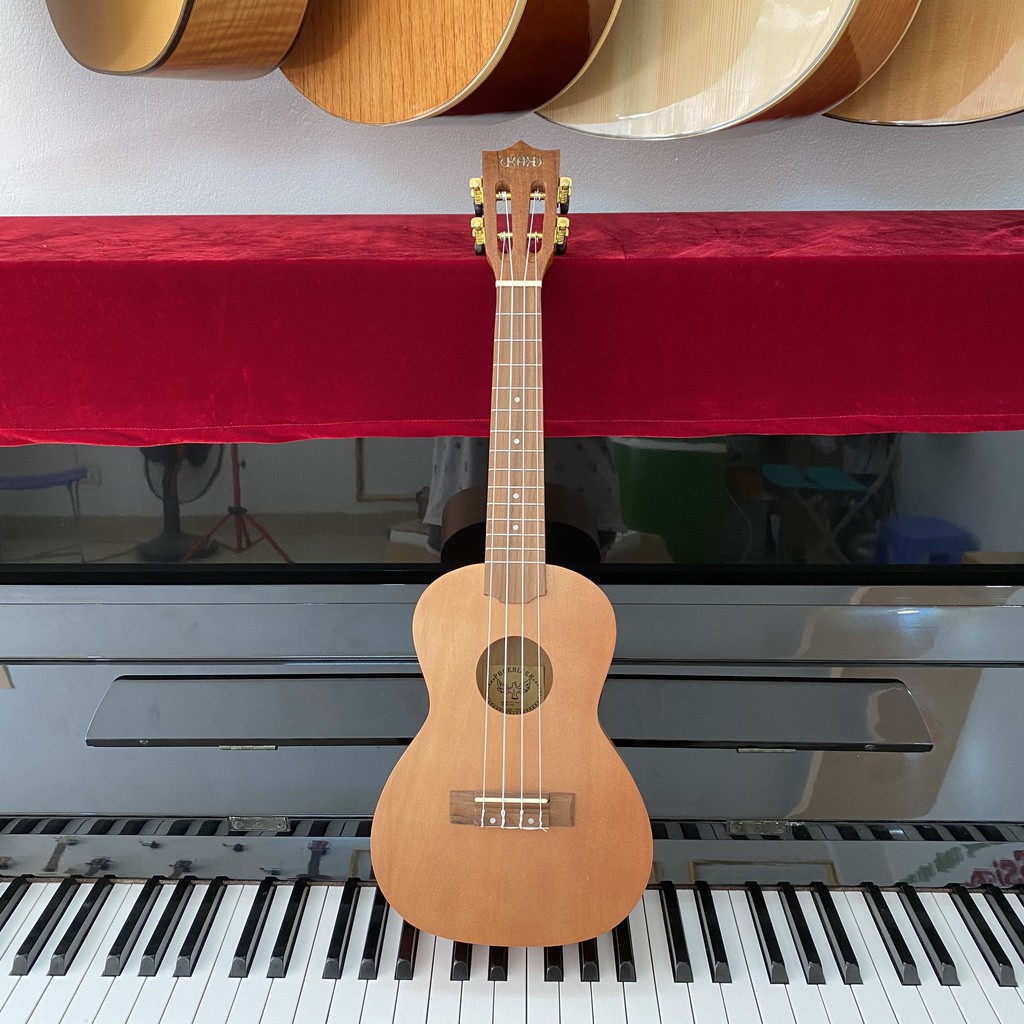 Đàn Ukulele full gỗ , Ukulele concert 23 inch chất lượng