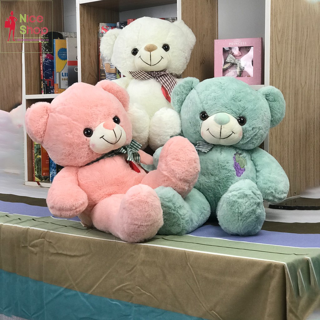 Gấu bông ôm teddy siêu đáng yêu nhiều màu dùng để cho bé ôm trang trí trong nhà - OT0700