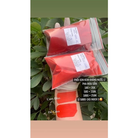 PHÔI SON KEM CÁN MÀU SIÊU LÌ KHÁNG NƯỚC 50g/100g