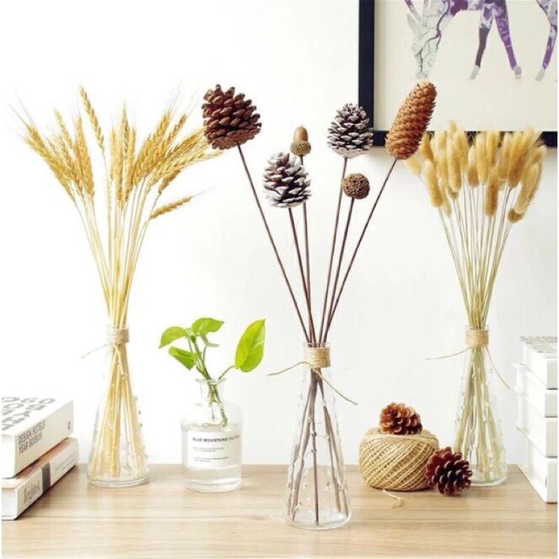 Cành hoa thông khô, hoa bông Gòn, hoa khô Decor, phụ kiện chụp ảnh