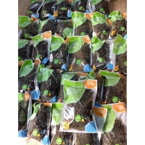 TRÀ HOA SÂM KHÔ HÀN QUỐC HÀNG CHÍNH HÃNG (Túi 500g)