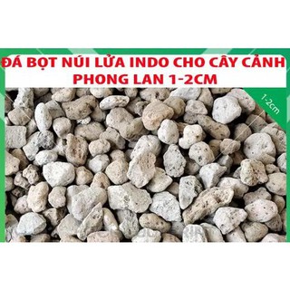 [sỉ] Đá Bọt Indo giá thể trồng Lan, sen đá, cây cảnh, thủy sinh [Hàng đẹp]