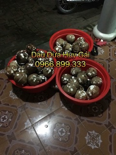 Hũ dầu dừa 50ml