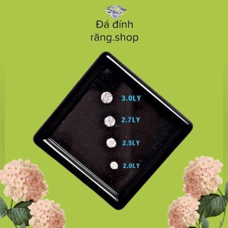 Đá đính răng kèm keo và bút combo 20 viên đá chân bằng tặng 1keo 1bút đính đá